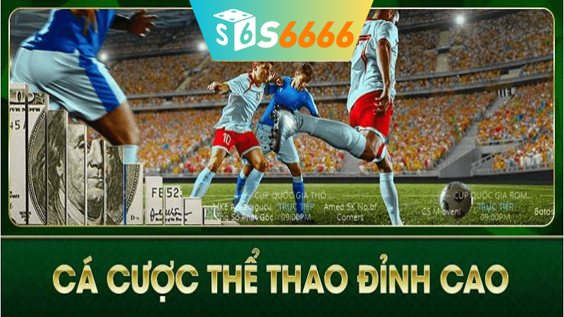 Hướng dẫn sử dụng Thể thao s6666